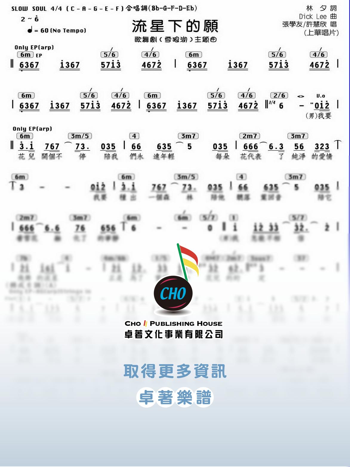 流星下的願